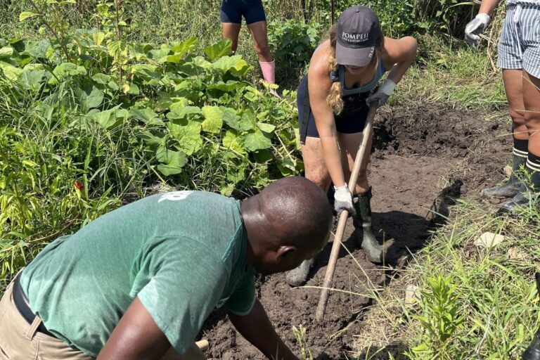 Where to Find Great Community Gardens in Houston