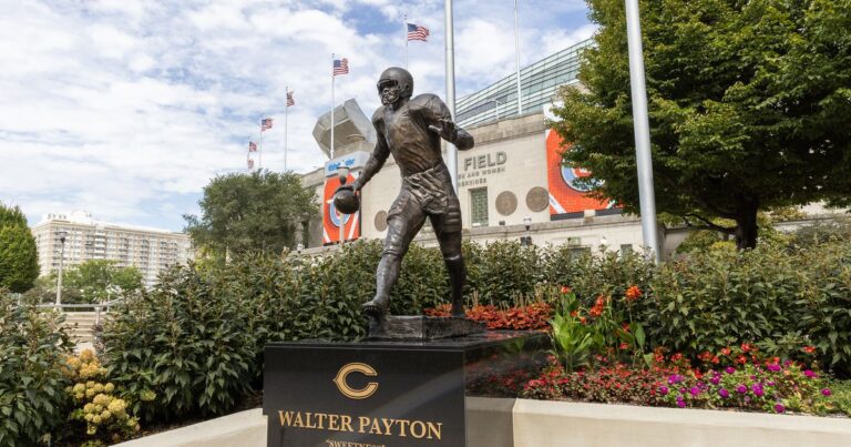 Chicago Bears Bring on Boka as Levy Takes Over Soldier Field Food