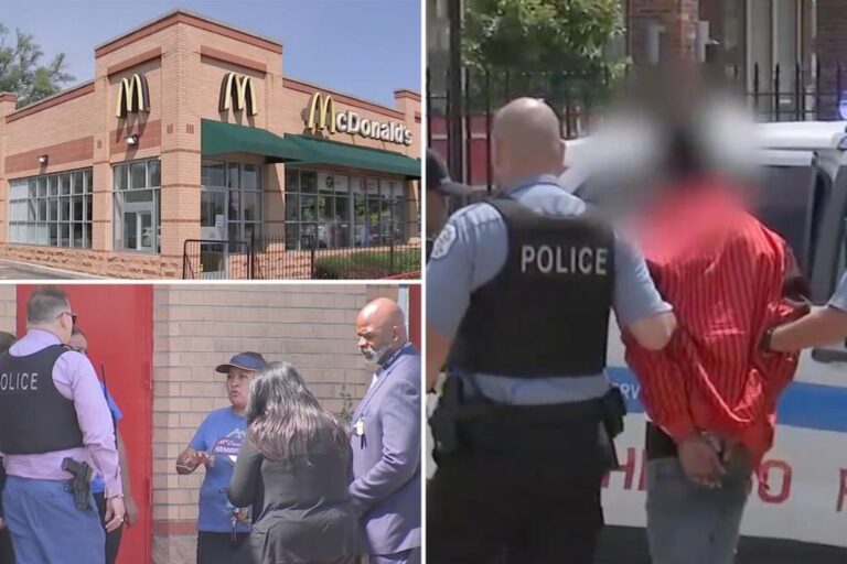 Hatchet-wielding maniac slashes 3 workers at Chicago McDonald’s after cashier refuses to