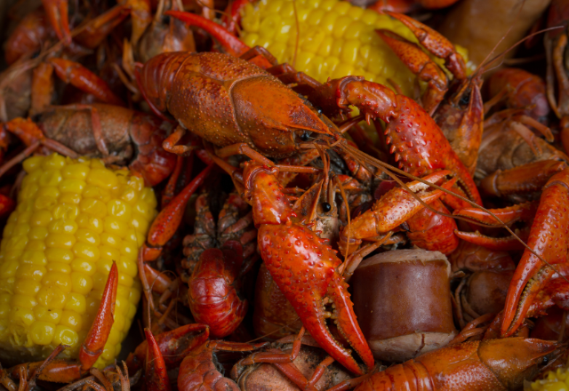 Exploring Cajun Cuisine in New Orleans – Big Easy
