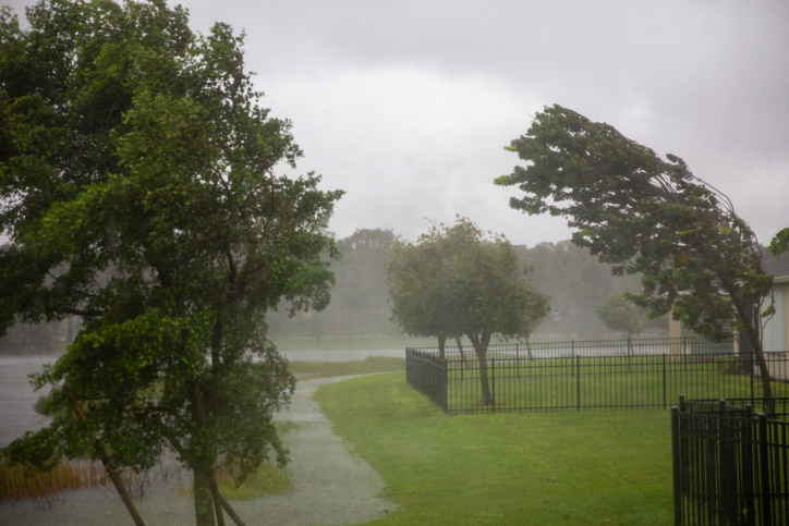 How to Prepare for Debby Amid State of Emergency for North Carolina