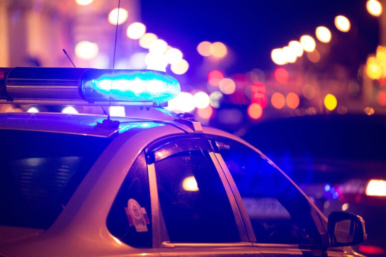 Man asking for food hits, steals from Chicago resident – Wednesday Journal