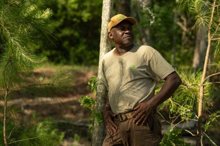 South Carolina farmer cultivates culture, history — and feeds a rice revival