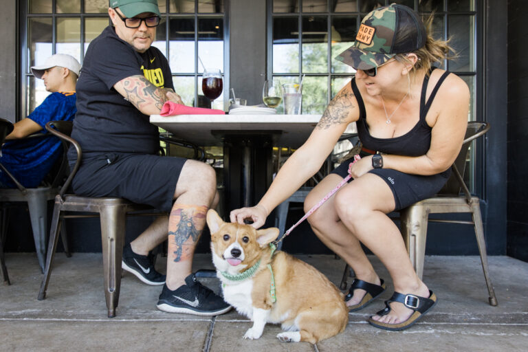 The Best Dog-Friendly Restaurants In Tucson