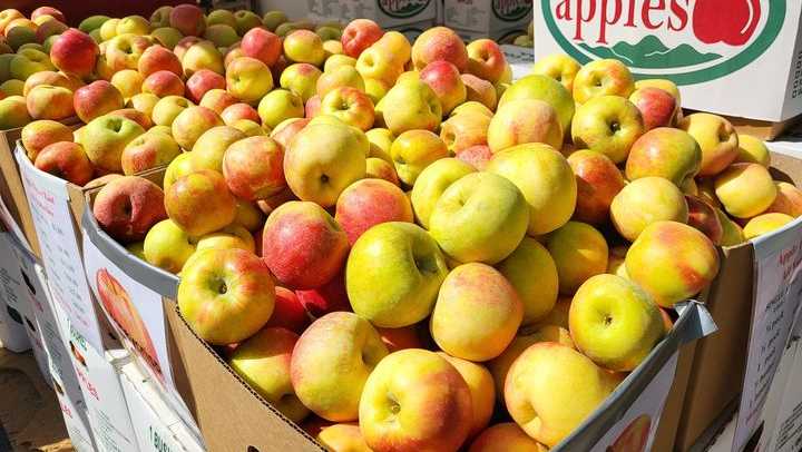 Experience a taste of Fall at the NC Apple Festival